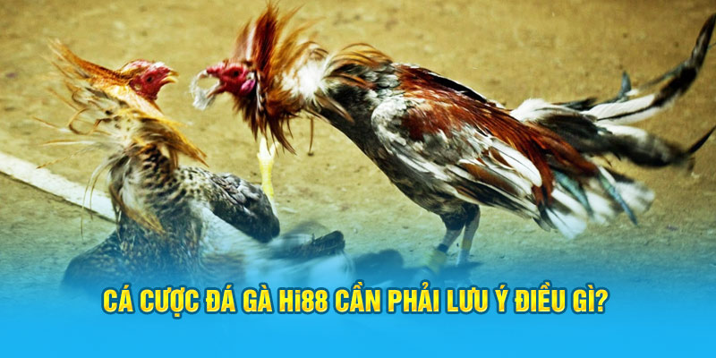 Đá Gà Hi88 - Sảnh Cược Trực Tuyến Top 1 Việt Nam - Hi88 - hình ảnh - hrbswowws.top Đá Gà Hi88 - Sảnh Cược Trực Tuyến Top 1 Việt Nam - Hi88 - hình ảnh - hrbswowws.top