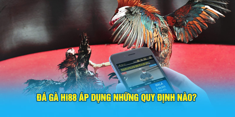 Đá Gà Hi88 - Sảnh Cược Trực Tuyến Top 1 Việt Nam - Hi88 - hình ảnh - hrbswowws.top Đá Gà Hi88 - Sảnh Cược Trực Tuyến Top 1 Việt Nam - Hi88 - hình ảnh - hrbswowws.top