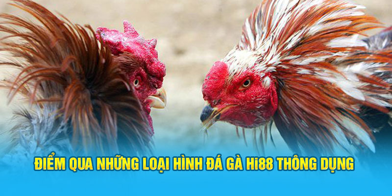Đá Gà Hi88 - Sảnh Cược Trực Tuyến Top 1 Việt Nam - Hi88 - hình ảnh - hrbswowws.top Đá Gà Hi88 - Sảnh Cược Trực Tuyến Top 1 Việt Nam - Hi88 - hình ảnh - hrbswowws.top