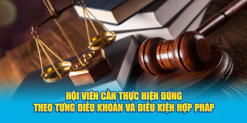 Điều khoản và điều kiện HI88 – Đảm bảo lợi ích cho hội viên - hình ảnh - hrbswowws.top Điều khoản và điều kiện HI88 – Đảm bảo lợi ích cho hội viên - hình ảnh - hrbswowws.top