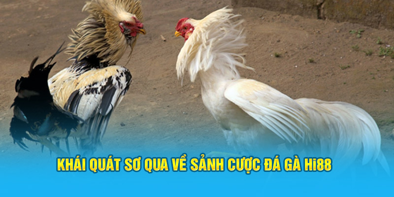 Đá Gà Hi88 - Sảnh Cược Trực Tuyến Top 1 Việt Nam - Hi88 - hình ảnh - hrbswowws.top Đá Gà Hi88 - Sảnh Cược Trực Tuyến Top 1 Việt Nam - Hi88 - hình ảnh - hrbswowws.top