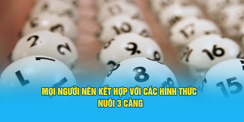 Khám Phá Thông Tin Về Đề 3 Càng Cho Thành Viên Hi88 - hình ảnh - hrbswowws.top Khám Phá Thông Tin Về Đề 3 Càng Cho Thành Viên Hi88 - hình ảnh - hrbswowws.top