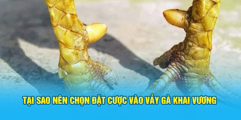 Vảy Gà Khai Vương – “Siêu Phẩm” Trong Giới Gà Chọi Hi88 - hình ảnh - hrbswowws.top Vảy Gà Khai Vương – “Siêu Phẩm” Trong Giới Gà Chọi Hi88 - hình ảnh - hrbswowws.top
