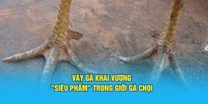 Đá Gà Hi88 - Sảnh Cược Trực Tuyến Top 1 Việt Nam - Hi88 - hình ảnh - hrbswowws.top