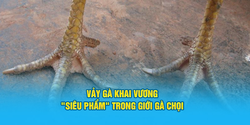 Vảy Gà Khai Vương – “Siêu Phẩm” Trong Giới Gà Chọi Hi88 - hình ảnh - hrbswowws.top Vảy Gà Khai Vương – “Siêu Phẩm” Trong Giới Gà Chọi Hi88 - hình ảnh - hrbswowws.top