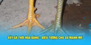 Đá Gà Hi88 - Sảnh Cược Trực Tuyến Top 1 Việt Nam - Hi88 - hình ảnh - hrbswowws.top